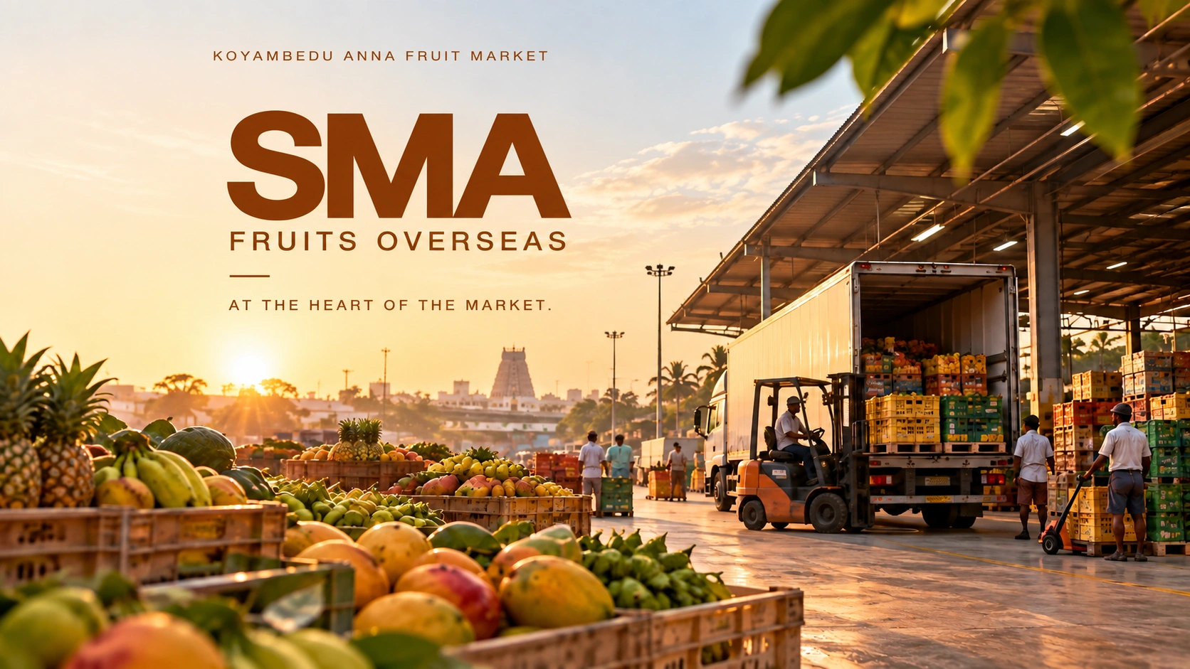 SMA Fruits Overseas workers sorting fruit among crates at Chennai’s Koyambedu fruit market